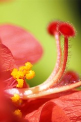 DSC04622_