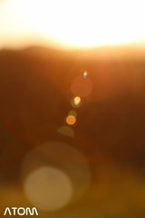 IMG_0419.jpg