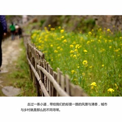 04.jpg