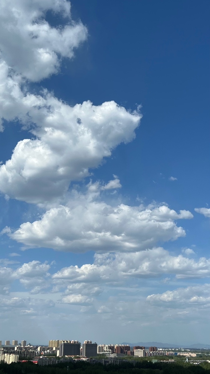 冷涡蓝 - 桔桃子 - 图虫