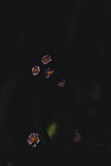 DEB9E0DF-8D6D-408E-8C6E-BB5579D2DDCD/L0/001