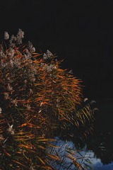 3D8E2ECE-50F0-4947-AAA8-222BFECDBD2D/L0/001