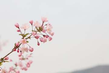 9F45DA86-27A3-430B-AD6A-FBD359BC0B04/L0/001