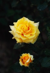 F600B740-95DE-4676-A3C7-98EC7668EFFF/L0/001