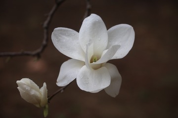 2EA0083C-6F36-47E5-B050-9050EF6E4528/L0/001