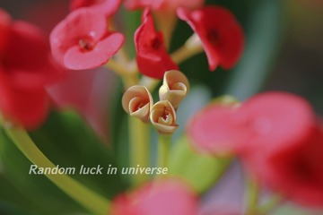 343655B0-4DBD-46FF-AE17-50B5664C4F43/L0/001