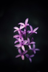 A5587C82-147D-497A-9E70-77A7501444C2/L0/001
