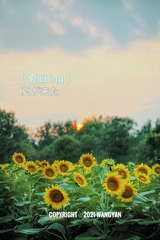 6B9945C9-50F7-4E55-996D-00F4EBBEF36A/L0/001