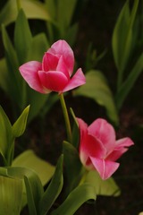 69DF80D7-2D6E-45F8-B004-640DBEA0DD1F/L0/001