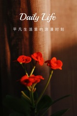DCBFE185-D24C-4B63-9FDA-4D1F7A6BF236/L0/001