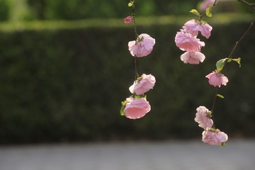 E884B0B8-D47D-46F0-A08D-89A55102E8CA/L0/001
