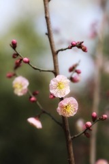 2E5810DB-F4C0-4550-84D8-A375CBC086B2/L0/001