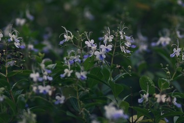 346A073E-78F2-404C-8F17-96D4F05BC55C/L0/001