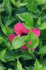 3BEA7D98-2CF7-45A1-9A49-3BC1EC2FA386/L0/001