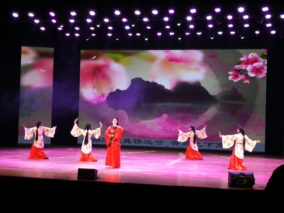 杨艺民族舞蹈视频,舞蹈女将杨艺与舞伴合舞