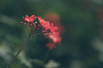 未命名 (1 - 1)-2