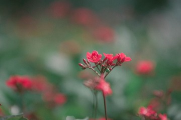 未命名 (1 - 1)-22