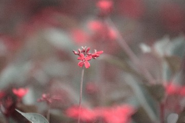 未命名 (1 - 1)-5