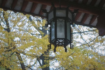 未命名 (1 - 1)-17