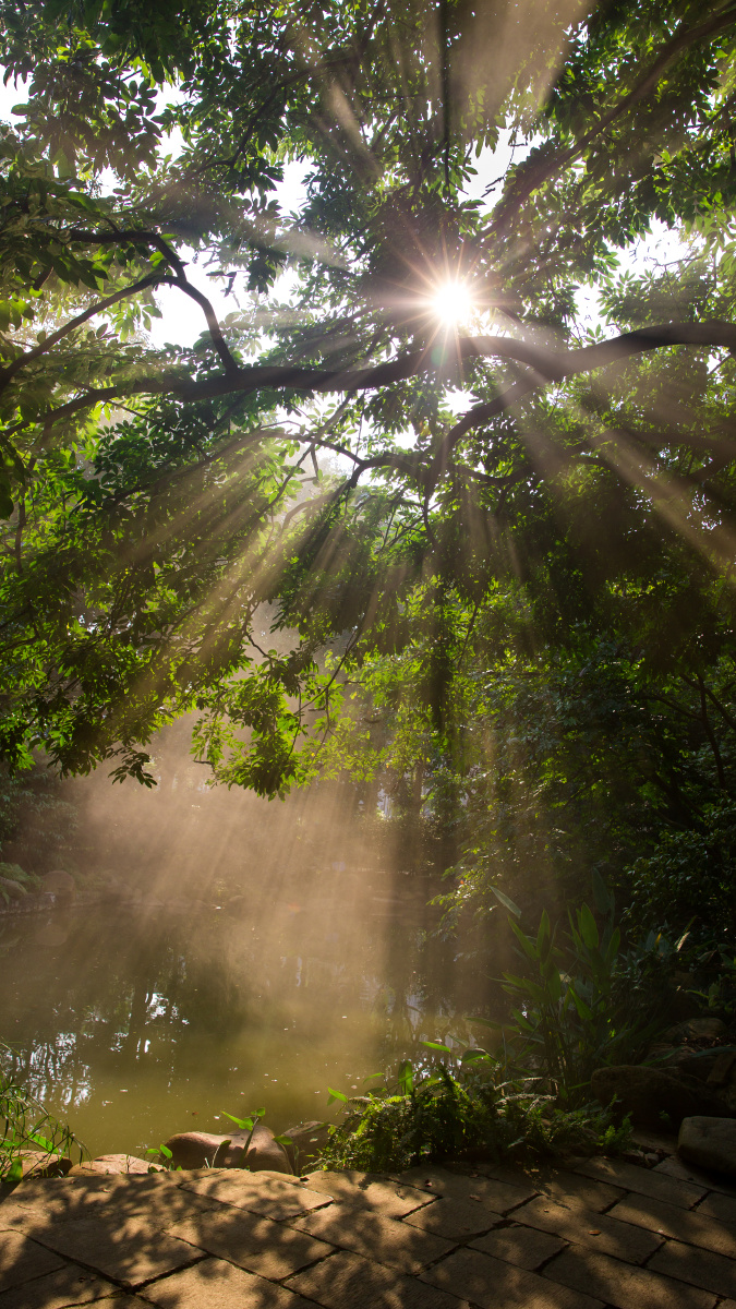 在公园漫步时有幸见到这么美的丁达尔效应,可是美丽都是短暂的,稍纵即