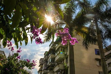 sunshine~~~~~