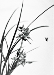 芳蕊迎春图