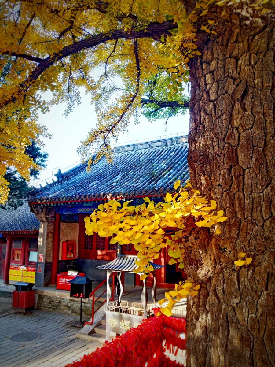 红螺古寺的秋天,醉眼迷人