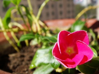 DSC00365.JPG