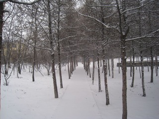 IMG_0583.JPG