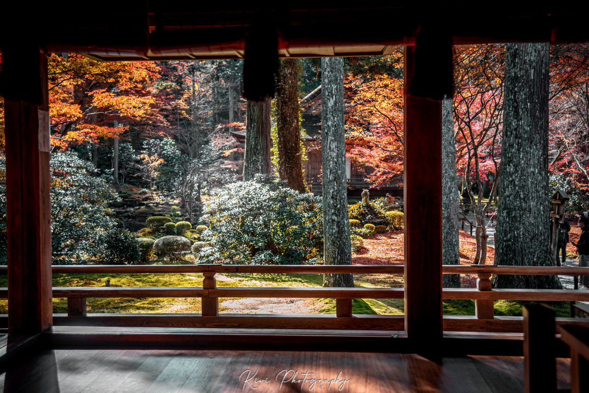 京都红叶三千院