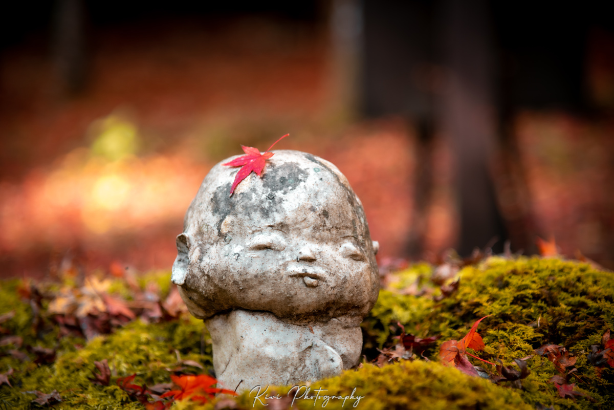 京都大原三千院可爱的小地藏们