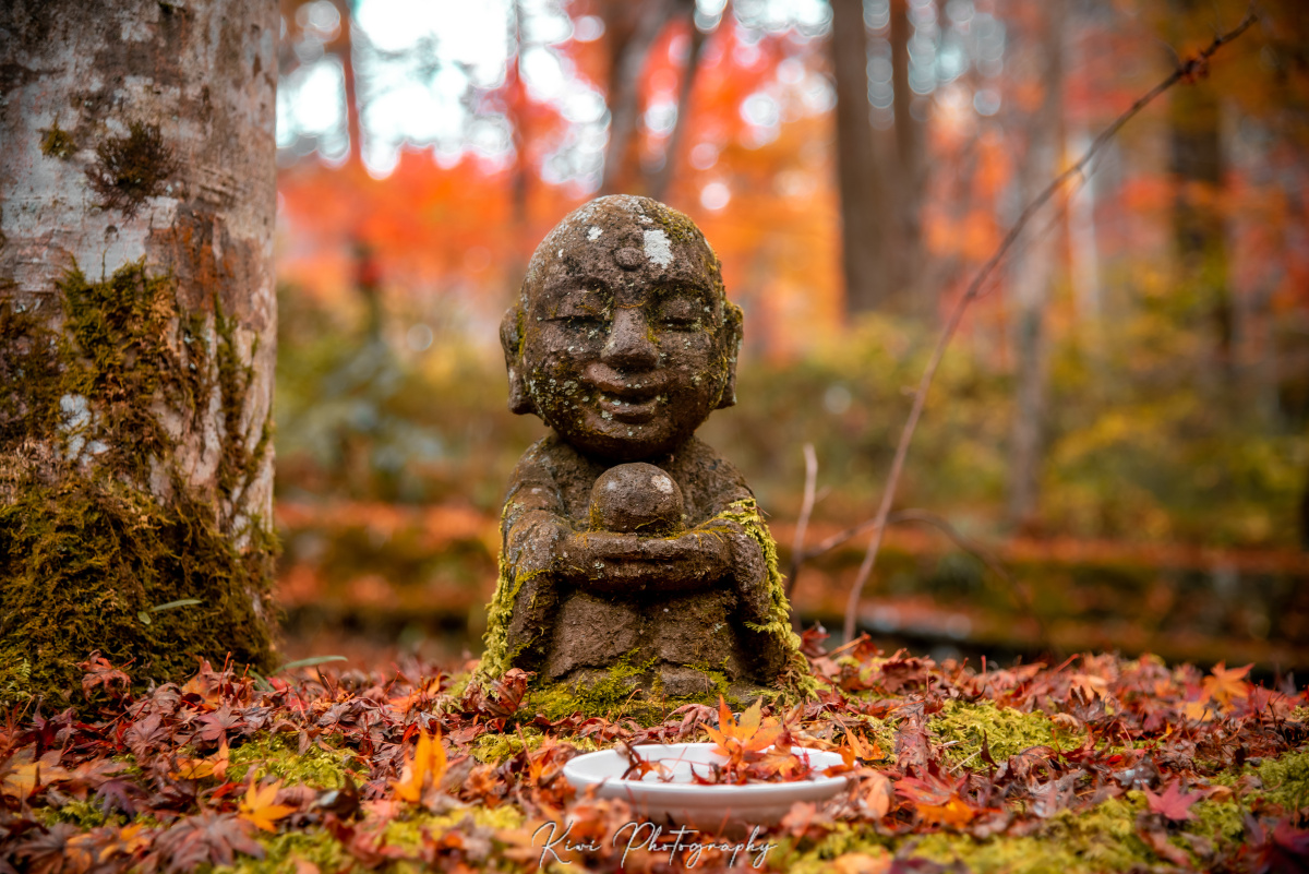 京都大原三千院可爱的小地藏们