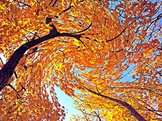 2013-11-07-2167A