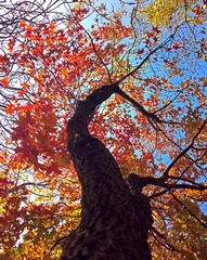 2013-11-07-2183C