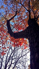 2013-11-07-2193