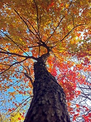 2013-11-07-2184C