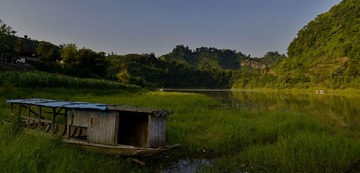 _DSC4237.JPG
