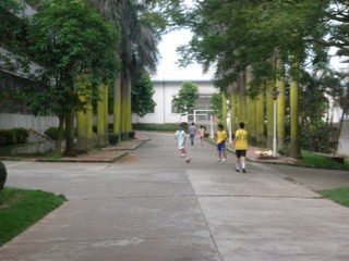 P6101201.JPG