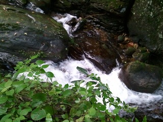 WP_000121.jpg