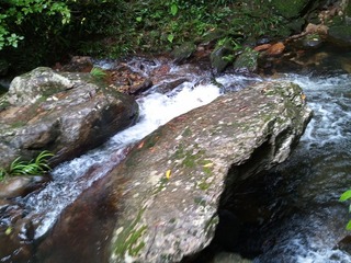 WP_000123.jpg