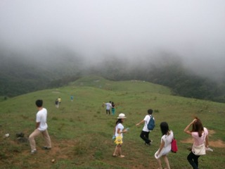 WP_000223.jpg