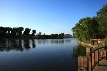 IMG_0015.JPG