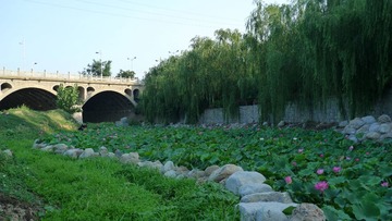 L1110946.JPG