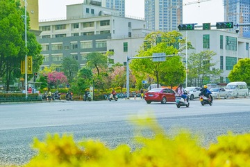 DP3Q1530