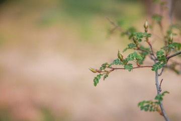 910804