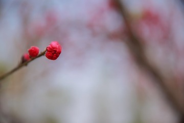 910794