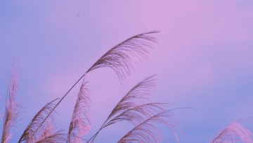 1000032049
