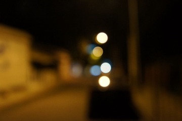 DSC01710.JPG