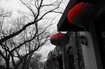 DSC05032.JPG