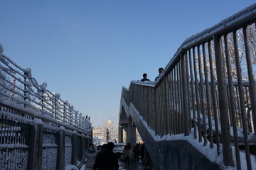 DSC05161.JPG